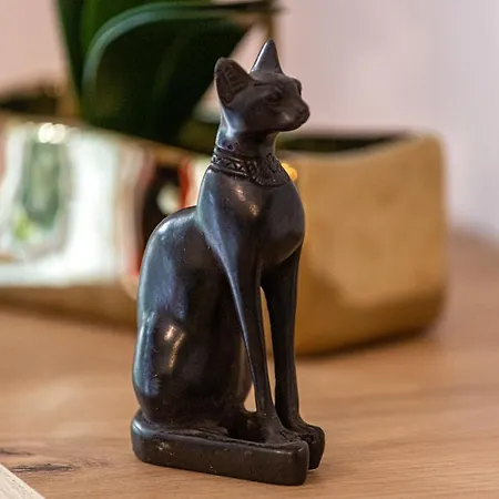 Rewita Wrzeszcz By Renters Gdansk