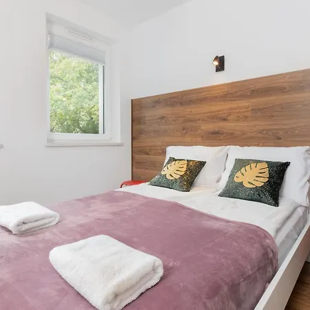 Rewita Wrzeszcz By Renters